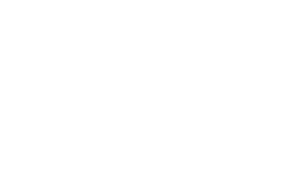 Partner 3